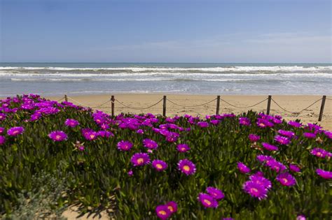 BEACH, Es Rebollo, La Marina – Gay – Alicante